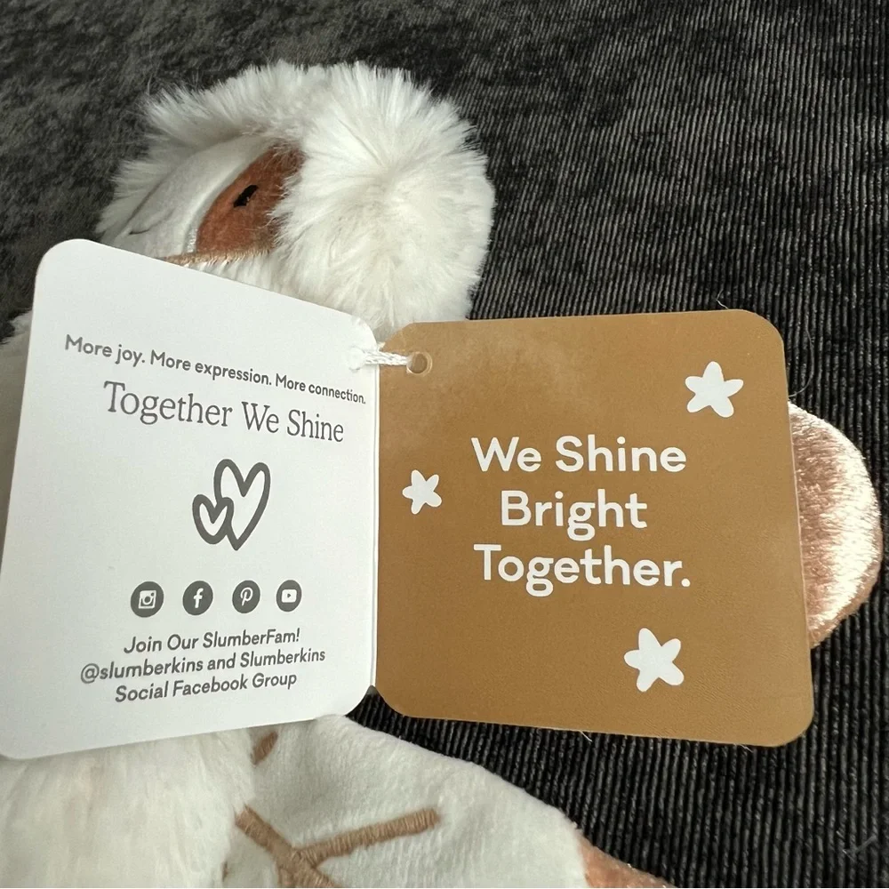 NWT Slumberkins Snowflake Dragonfly Mini - Picture 4 of 6